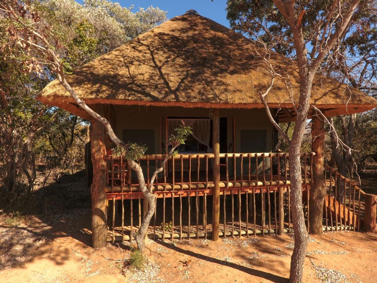 Honeyguide Ranger Camp Hotel Golders Green Exterior photo