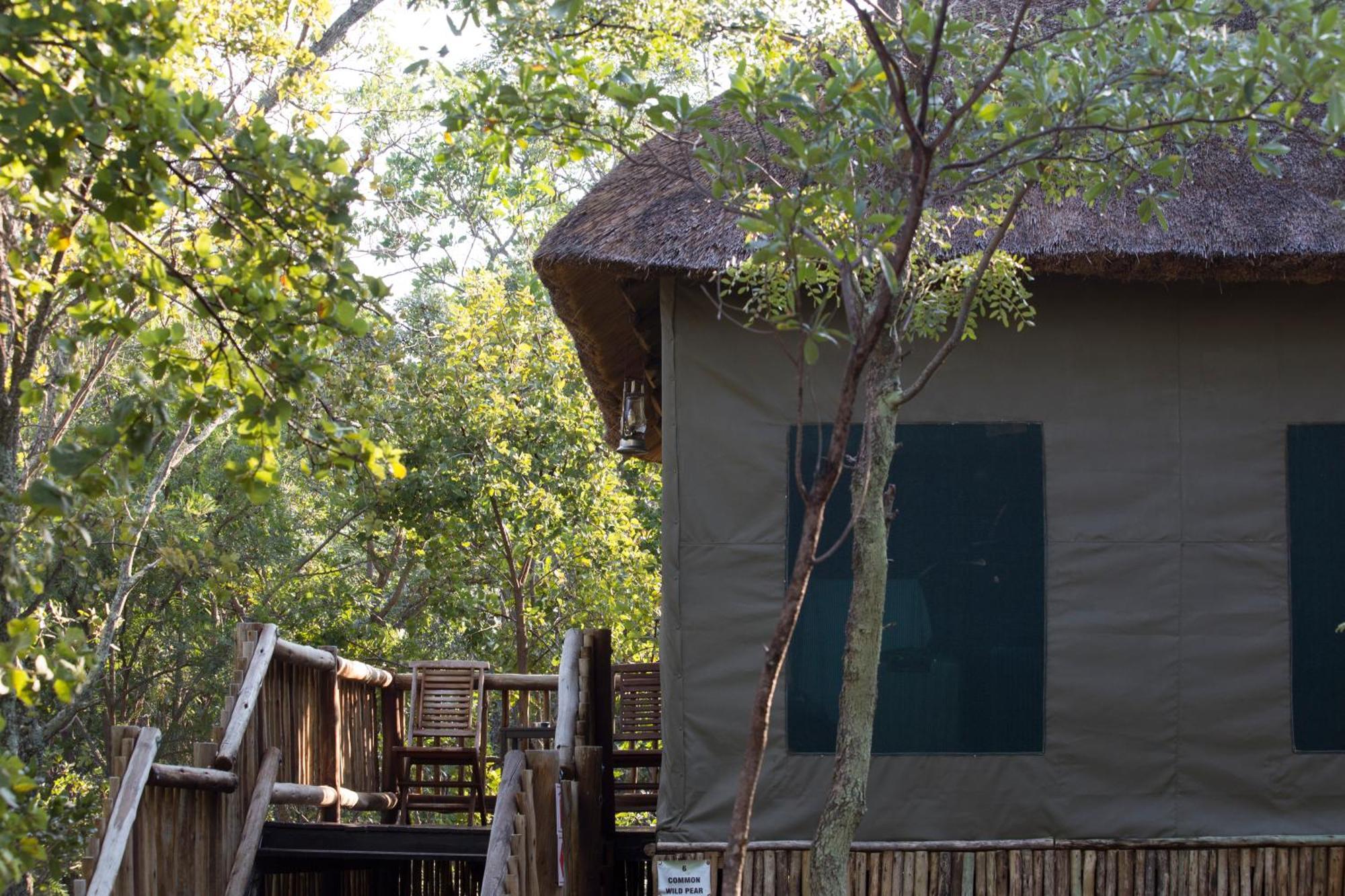 Honeyguide Ranger Camp Hotel Golders Green Room photo